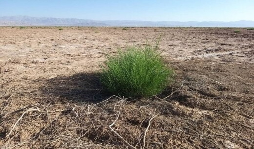 بسته خبری سفر جناب آقای دکتر منصور رئیس محترم سازمان جنگلها مراتع وآبخیزداری کشور به مشهد، چهارم آذر 1400