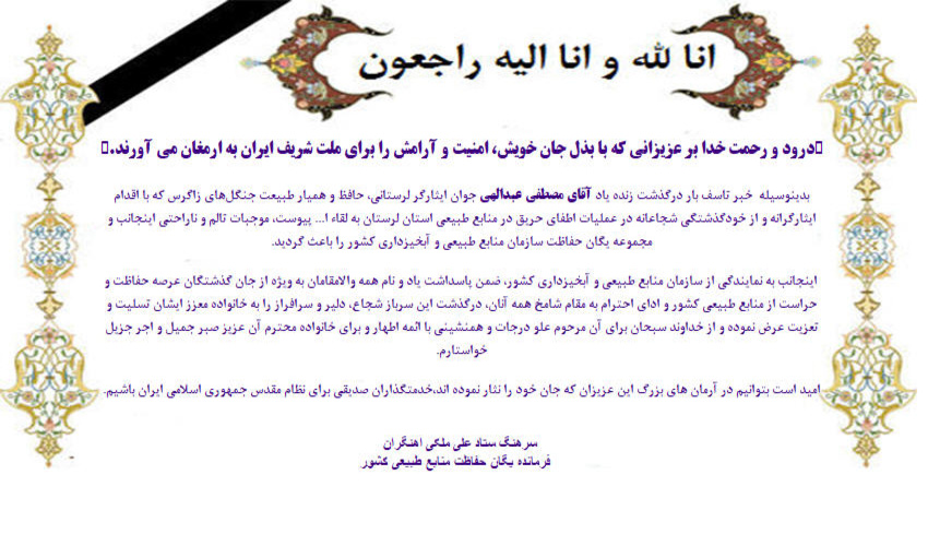 دومین کنفرانس ملی (مجازی) تفکر سیستمی در عمل 