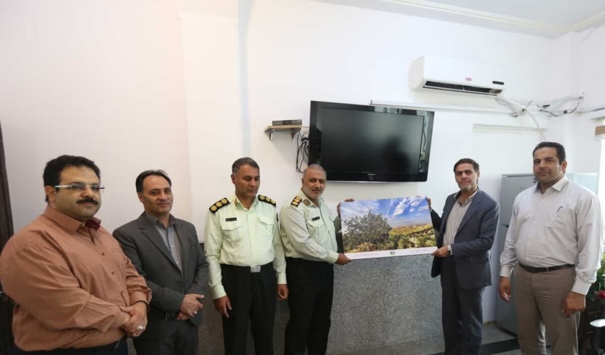 آتش در کمین درختان 