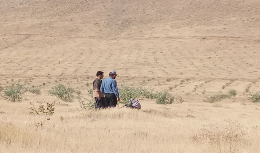 زیباسازی با غرس نهال و جمع آوری زباله در مبادی ورودی و خروجی شهرها 