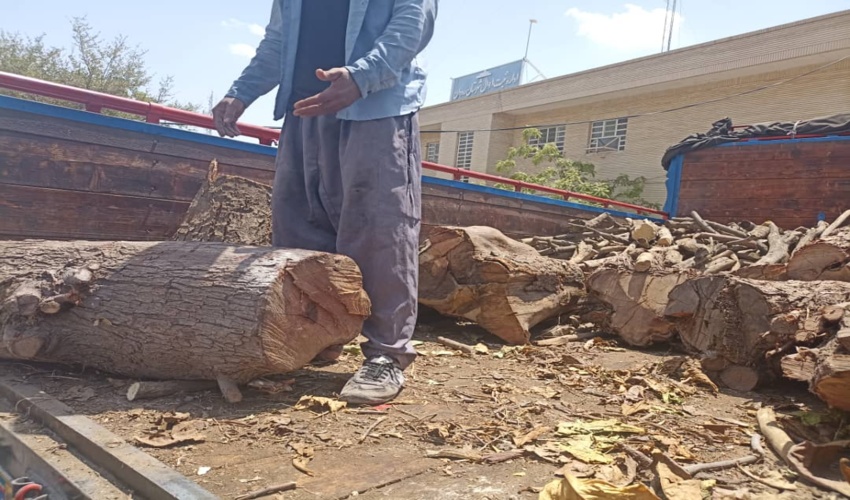  بازتاب گزارش خبری کاهش خسارات سیل در شهرستان کلات به دلیل اجرای پروژه های آبخیزداری