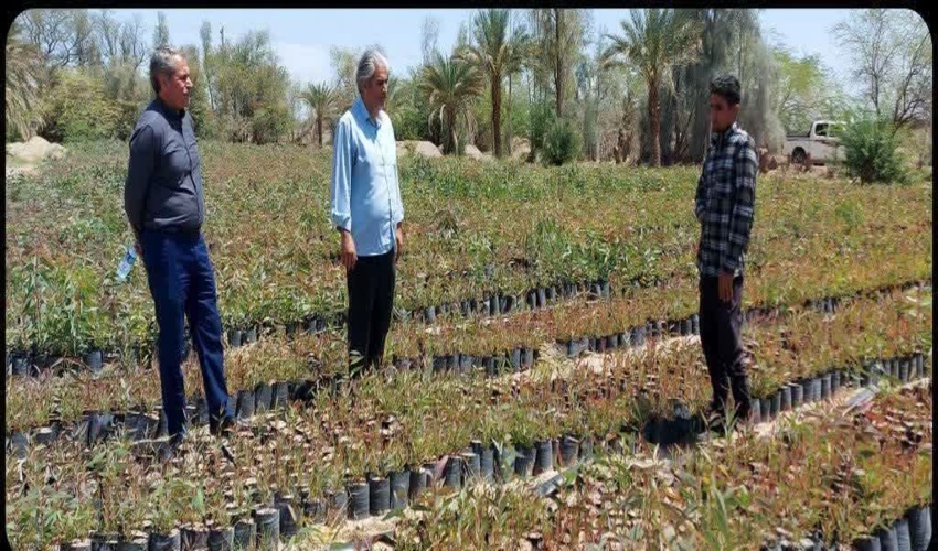   افتتاح پروژه های اداره منابع طبیعی و آبخیزداری شهرستان گناباد در هفته دولت