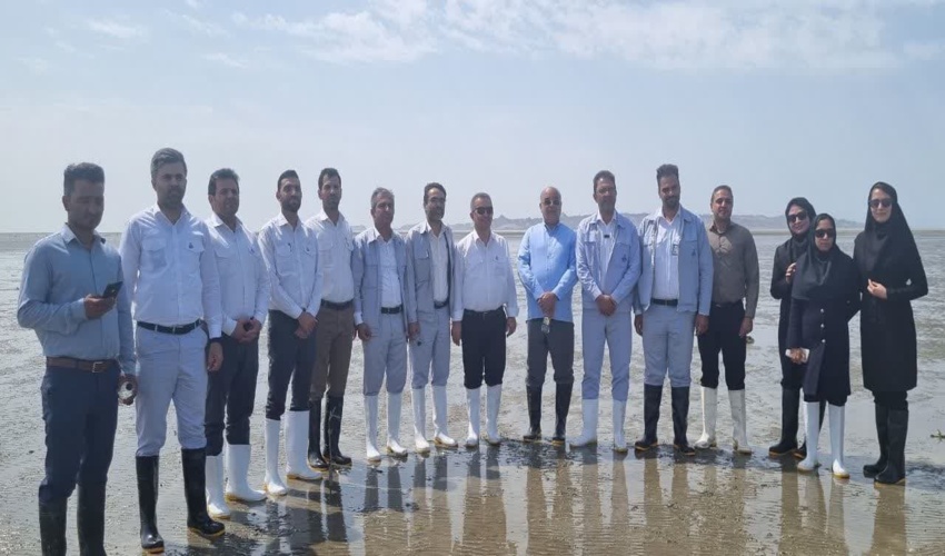 افتتاح طرح بیابان زدایی در 250هکتار از اراضی شیراحمد سبزوار  همزمان با هفته منابع طبیعی و آبخیزداری