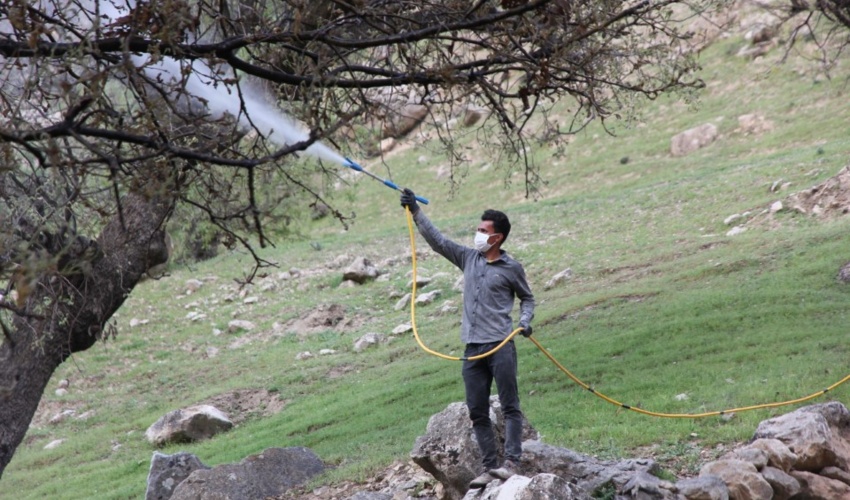 اقدام به موقع عملیات اطفاء حریق در اراضی منابع طبیعی و آبخیزداری شهرستان گناباد