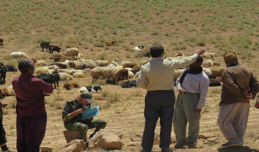 مدیریت چرای دام در سطح 90 هزار هکتار از مراتع شهرستان تربت حیدریه
