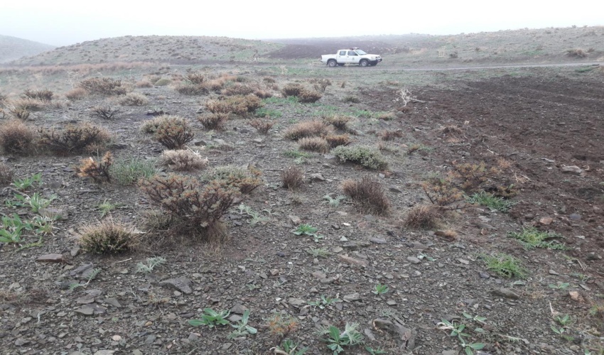 خلع ید و رفع تصرف و بیش از 11 هکتار اراضی ملی در شهرستان تربت حیدریه