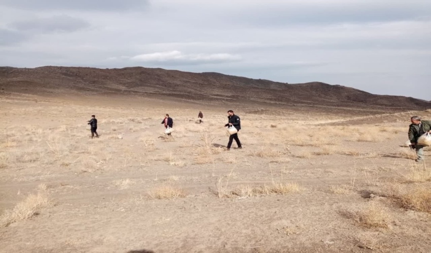 برگزاری پویش ملی بذرپاشی و بذرکاری درمراتع شهرستان جوین