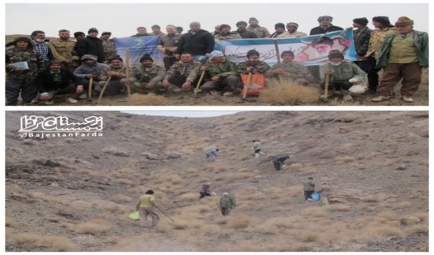 آغاز اجرای طرح 1000 هکتاری  احیاء و توسعه رویشگاه های گیاهان دارویی در شهرستان بجستان 