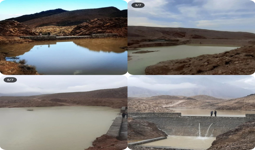 به یاد هر شهید تربت جامی 4 اصله نهال کاشته شد