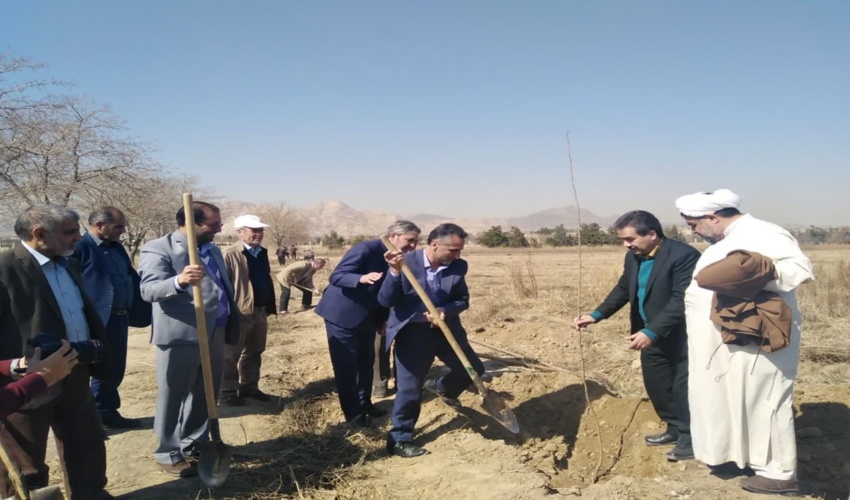 مراسم روز درختکاری برگزار شد