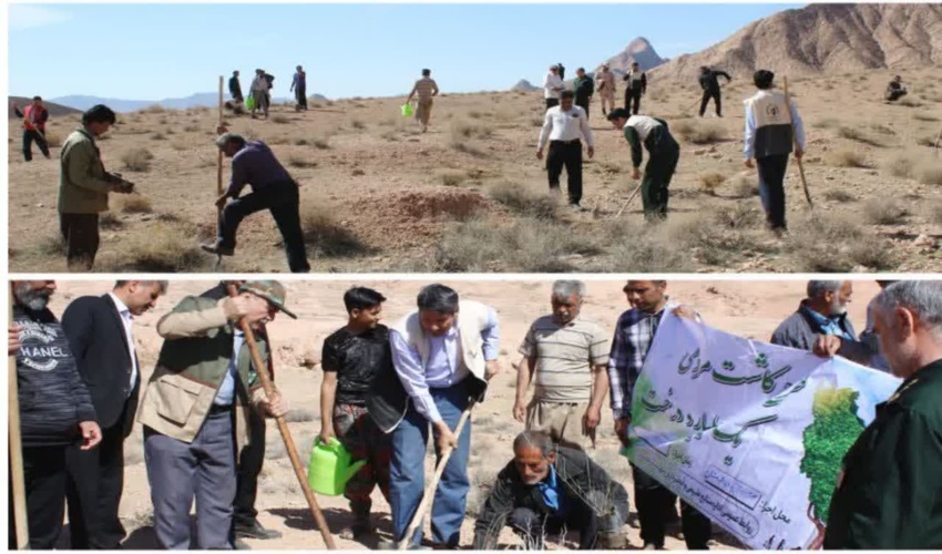 دومین روز از هفته منابع طبیعی-شهرستان بجستان