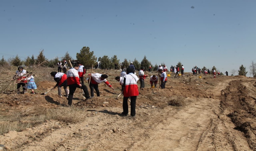 آخرین روز از هفته منابع طبیعی -نهالکاری با همکاری هلال احمر