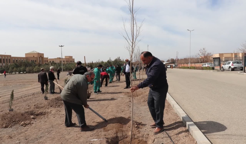 پایان خوش هفته منابع طبیعی در خراسان رضوی با کاشت بیش از یک میلیون اصله نهال