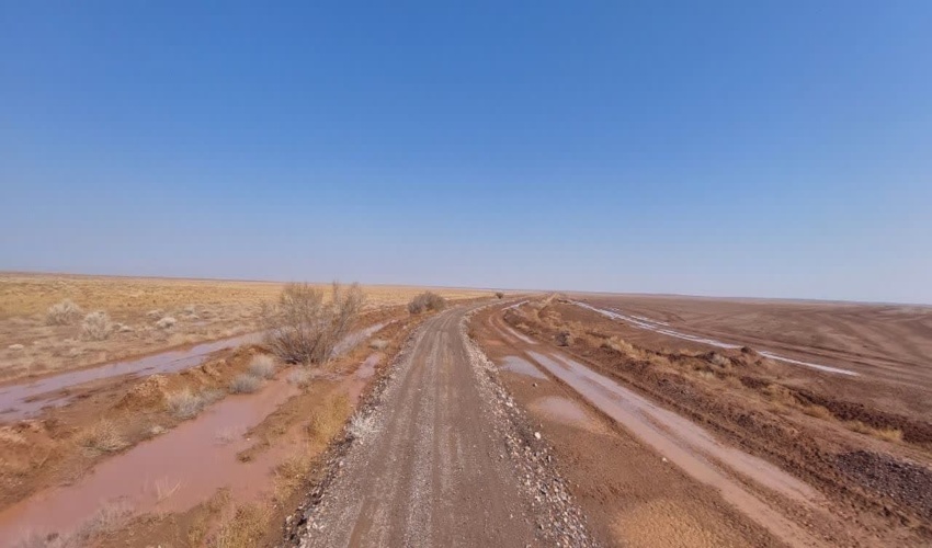 اجرای پروژه نهالکاری منطقه نوده پشنگ گناباد سیمای منطقه را تغییر داد