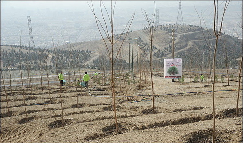 اجرای پروژه نهالکاری در سطح 130 هکتار از عرصه های منابع طبیعی و آبخیزداری شهرستان خلیل اباد