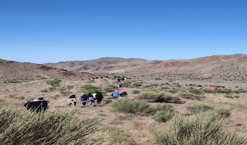 بازدید علمی و عملی دانشجویان دانشگاهها از پروژه های منابع طبیعی و آبخیزداری شهرستان گناباد