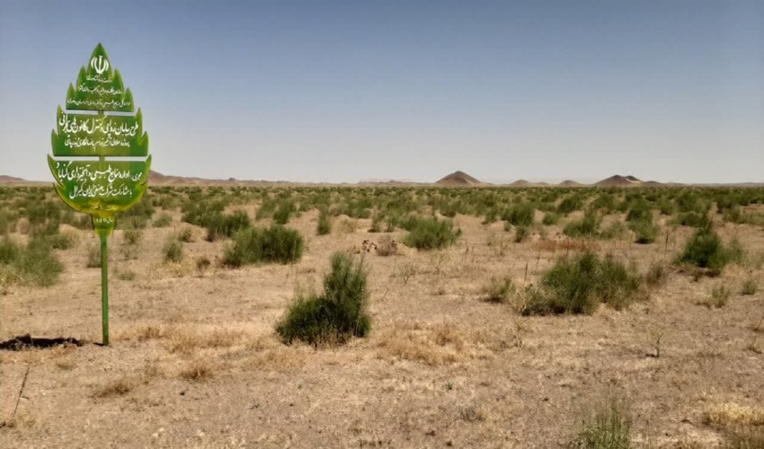 افزایش بهره وری  محصول نهایی بخش خصوصی  با اجرای طرح مشارکتی بیابانزدائی در شهرستان گناباد