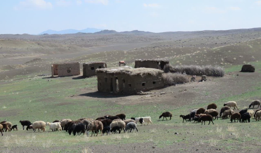 بیمه مراتع راهکاری برای عبور از بلایای طبیعی در مراتع شهرستان بردسکن