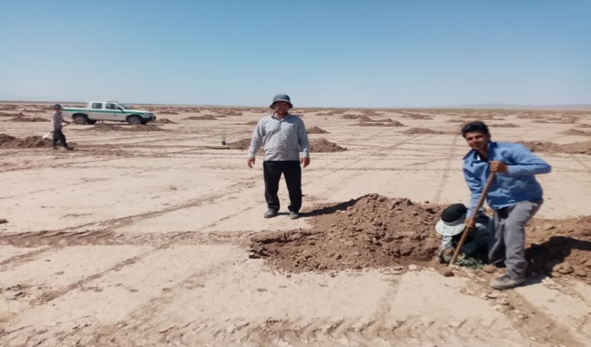 دو طرح بیابان زدایی در شهرستان جوین اجرا شد