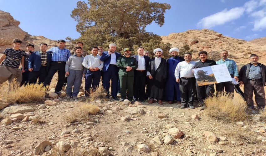 رونمایی از ثبت کهنسال ترین درخت ارس در شهرستان خوشاب