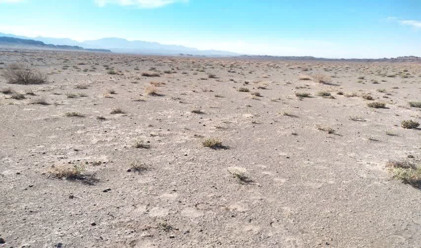 احیاء مراتع شهرستان بردسکن در گرو مشارکت و همراهی بهره برداران