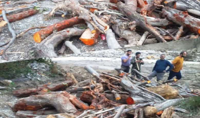 حفظ و احیای منابع طبیعی با توسعه ارتباطات مردمی 