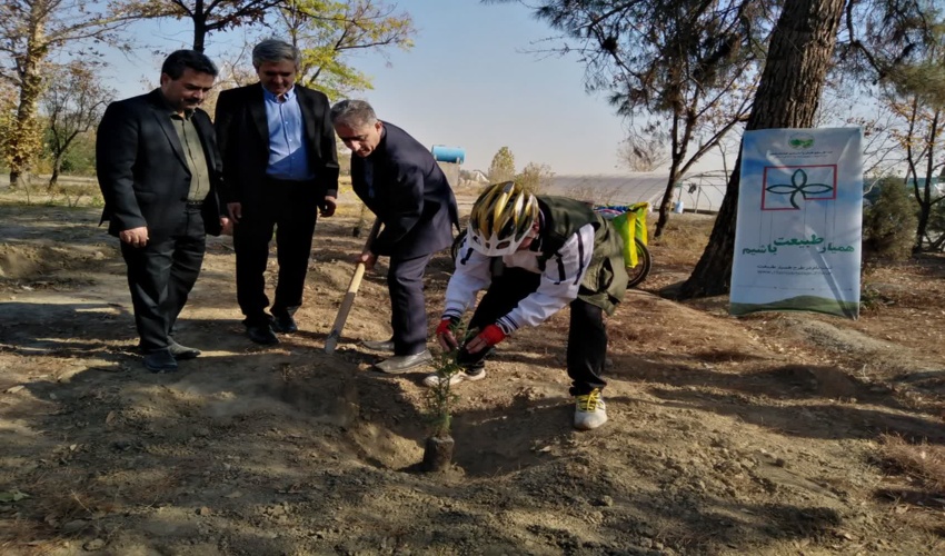 رکاب زنی برای درخت