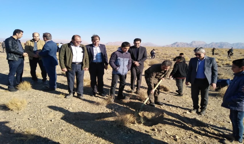 آغاز عملیات نهالکاری ۴۸۸ هزار هکتار در شهرستان بردسکن
