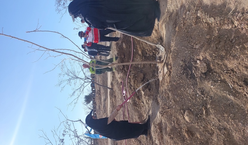 پویش نهالکاری کوثر با حضور بانوان شهرستان طرقبه شاندیز برگزار شد.