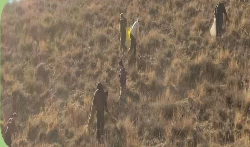 بذرکاری و بذرپاشی 400هکتار از اراضی مرتعی شهرستان قوچان