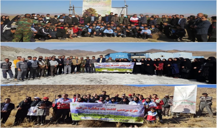 برپایی ۹ پویش نهالکاری و بذرپاشی در شهرستان بردسکن