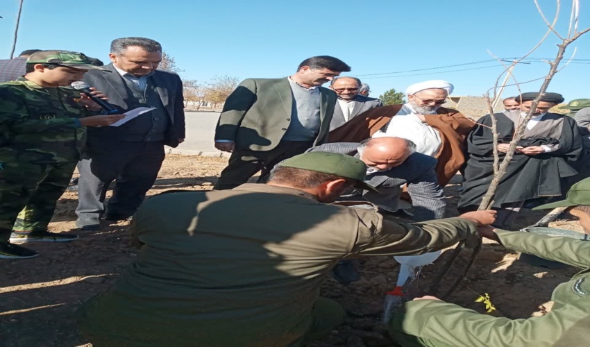 تولید بیش از 300 هزار اصله نهال بیابانی و برپایی 8 پویش نهالکاری در شهرستان سبزوار