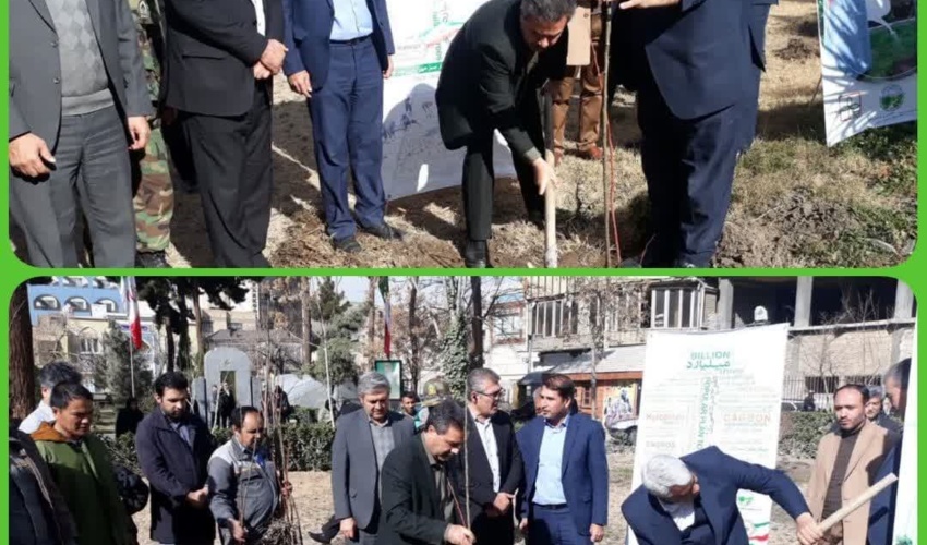 کاشت درخت در محوطه تاریخی باغ نادر در مشهد 