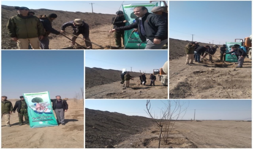 پنجمین روز از هفته منابع طبیعی -شهرستان خواف