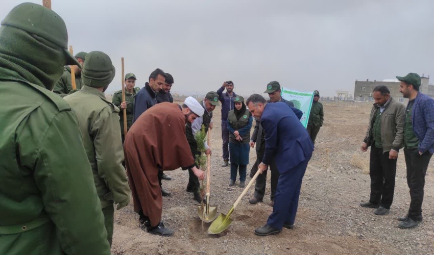 کاشت ۲۷هزار اصله نهال بامشارکت مردم در شهرستان سبزوار
