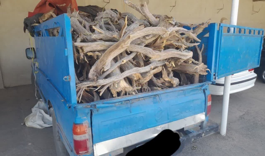توقیف یک محموله چوب غیرمجاز در شهرستان خلیل آباد