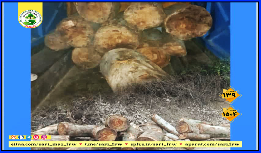  تطبیق دروس تئوری وعملی در بازدید دانشجویان از پروژه های منابع طبیعی وابخیزداری شهرستان گناباد