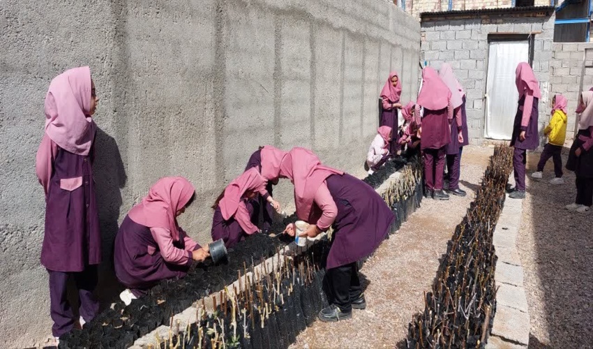 ۲۳ درصد همیاران طبیعت دانش آموز خراسان رضوی از شهرستان گناباد