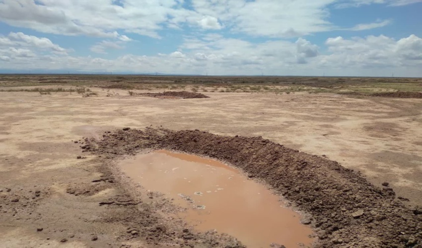  بیش از ۵۰ میلیارد ریال در بیابان زدائی شهرستان های نیشابور و میان جلگه هزینه شد