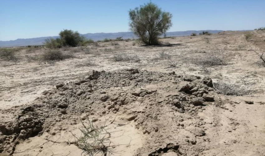 اجرای عملیات بیابان زدایی در 133 هکتار از کانون های بحرانی  شهرستان سبزوار