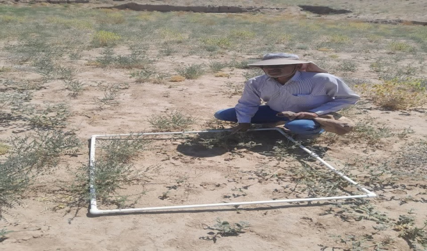 ساماندهی کوچ درسامانه های عرفي مراتع شهرستان سرخس