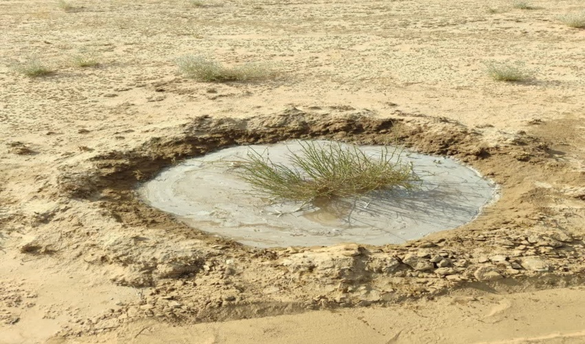 سومین مرحل ابیاری سنواتی ۱۰۰هکتار از تاغ زارهای شهرستان سرخس