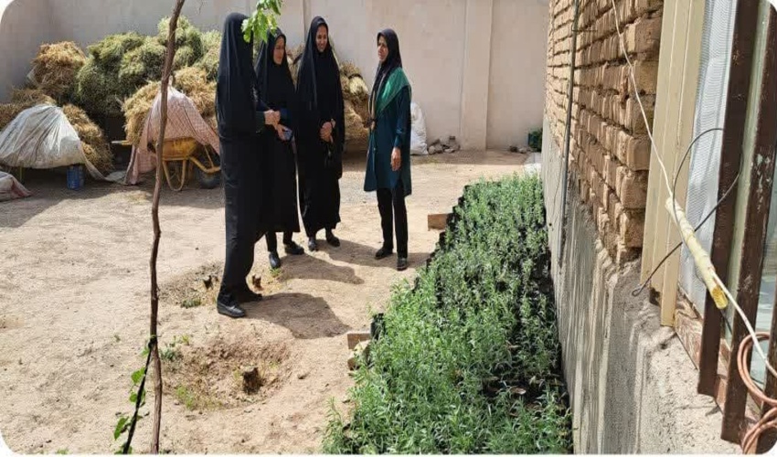 اثربخشی فعالیتهای زنان شهرستان ششتمددر زادآوری جمعیت گیاهان