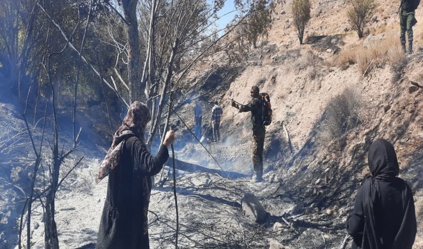 اطفاء حریق توسط یگان حفاظت منابع طبیعی و سایر ارگان های مربوطه در منطقه کوه قلعه