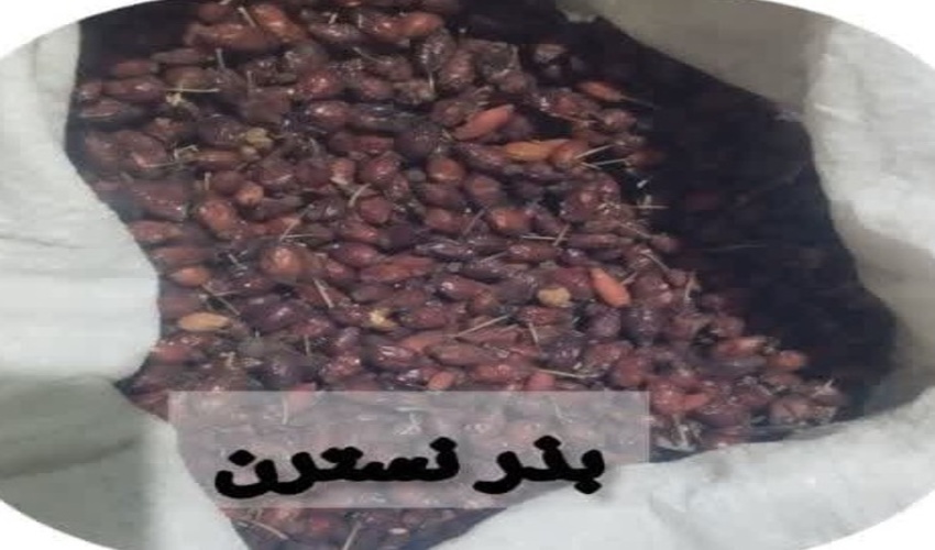 در راستای طرح مردمی کاشت یک میلیارد درخت