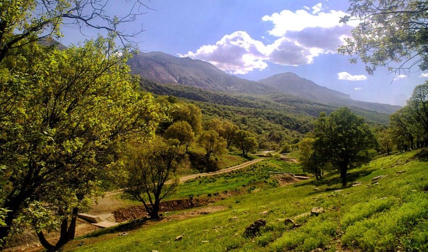 اقدامات جنگلبانان فداکار، تضمین کننده امنیت زیستی انسان ها