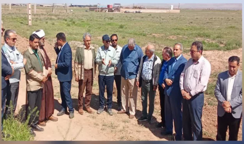 در خلال  پویش درختکاری در کمربند سبز محور نیشابور_فیروزه مطرح شد