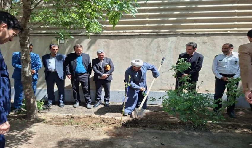 کاشت ( نهال امید ) به یاد شهدای گرانقدر جنگ تحمیلی در دانشگاه علوم پزشکی نیشابور