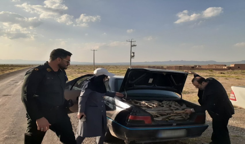 وقوع جرم در برابر دیدگان قاضی / توقیف ۴۰۰ کیلوگرم تاغ قاچاق در یحیی‌آباد ششتمد